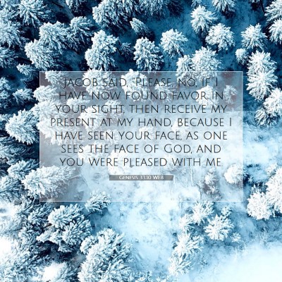 Picture 07 - Genesis 33:10 WEB - Jacob said, 