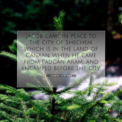 Picture 07 - Genesis 33:18 WEB - Jacob came in peace to the city of Shechem, which - Bible Verse Picture