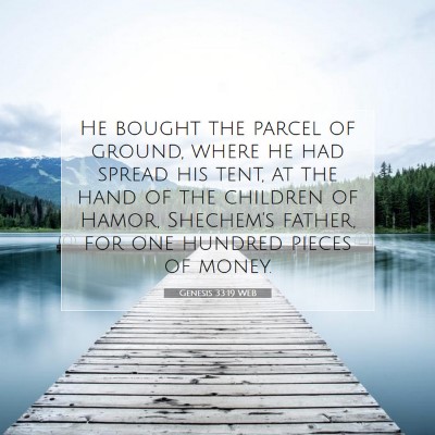 Picture 07 - Genesis 33:19 WEB - He bought the parcel of ground, where he had - Bible Verse Picture