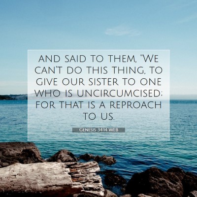 Picture 07 - Genesis 34:14 WEB - and said to them, 
