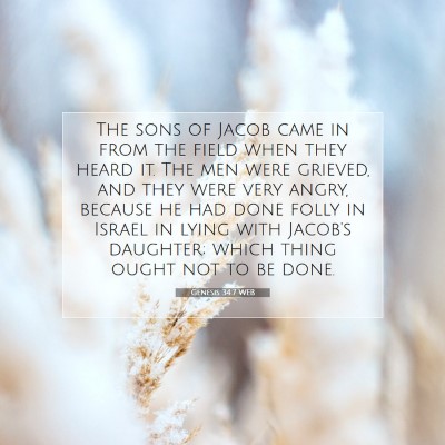 Picture 07 - Genesis 34:7 WEB - The sons of Jacob came in from the field when - Bible Verse Picture