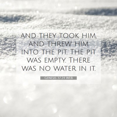 Picture 07 - Genesis 37:24 WEB - and they took him, and threw him into the pit. - Bible Verse Picture