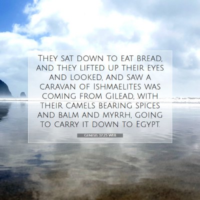 Picture 07 - Genesis 37:25 WEB - They sat down to eat bread, and they lifted up - Bible Verse Picture