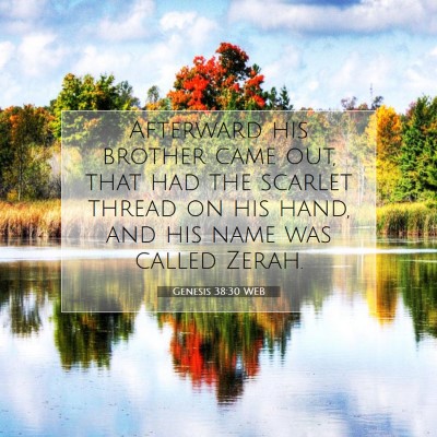 Picture 07 - Genesis 38:30 WEB - Afterward his brother came out, that had the - Bible Verse Picture