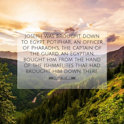 Picture 07 - Genesis 39:1 WEB - Joseph was brought down to Egypt. Potiphar, an - Bible Verse Picture