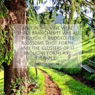 Picture 07 - Genesis 40:10 WEB - and in the vine were three branches. It was as - Bible Verse Picture
