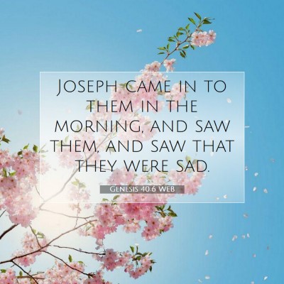 Picture 07 - Genesis 40:6 WEB - Joseph came in to them in the morning, and saw - Bible Verse Picture
