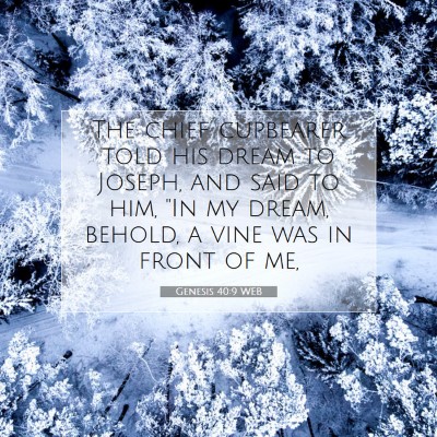 Picture 07 - Genesis 40:9 WEB - The chief cupbearer told his dream to Joseph, and - Bible Verse Picture