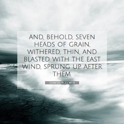 Picture 07 - Genesis 41:23 WEB - and, behold, seven heads of grain, withered, - Bible Verse Picture