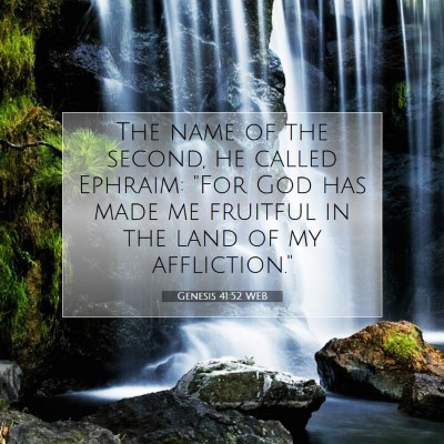 Picture 07 - Genesis 41:52 WEB - The name of the second, he called Ephraim: 