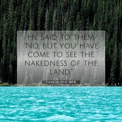 Picture 07 - Genesis 42:12 WEB - He said to them, 