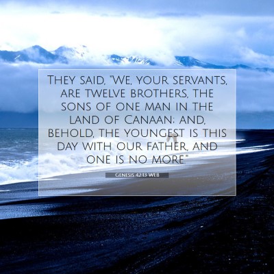 Picture 07 - Genesis 42:13 WEB - They said, 