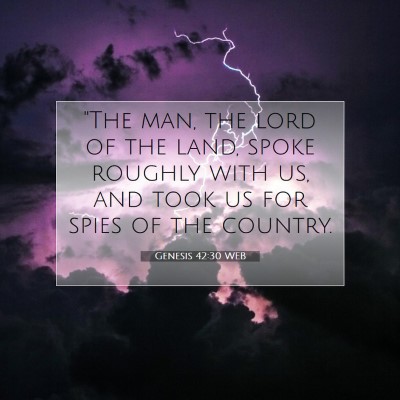 Picture 07 - Genesis 42:30 WEB - 