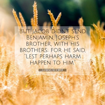 Picture 07 - Genesis 42:4 WEB - But Jacob didn't send Benjamin, Joseph's brother, - Bible Verse Picture