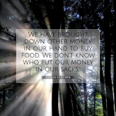 Picture 07 - Genesis 43:22 WEB - We have brought down other money in our hand to - Bible Verse Picture