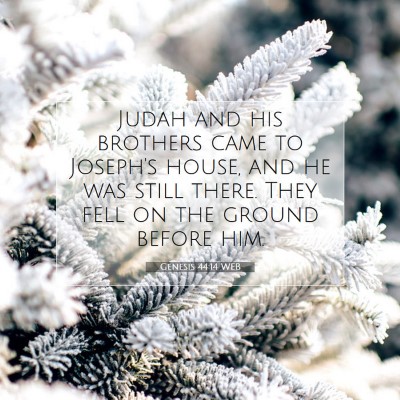 Picture 07 - Genesis 44:14 WEB - Judah and his brothers came to Joseph's house, - Bible Verse Picture