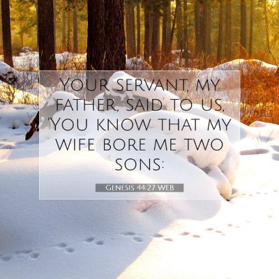 Picture 07 - Genesis 44:27 WEB - Your servant, my father, said to us, 'You know - Bible Verse Picture