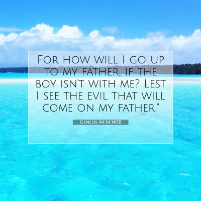 Picture 07 - Genesis 44:34 WEB - For how will I go up to my father, if the boy - Bible Verse Picture