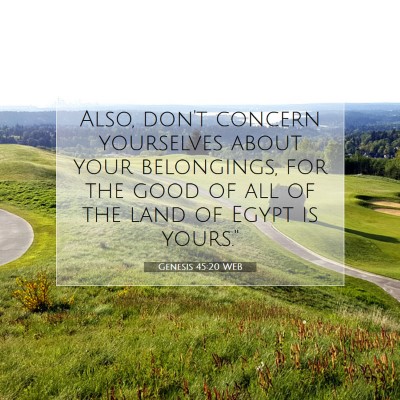 Picture 07 - Genesis 45:20 WEB - Also, don't concern yourselves about your - Bible Verse Picture
