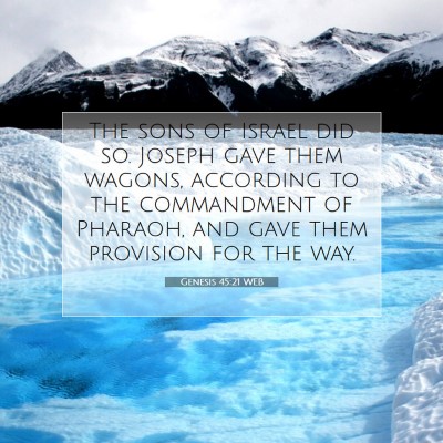 Picture 07 - Genesis 45:21 WEB - The sons of Israel did so. Joseph gave them - Bible Verse Picture