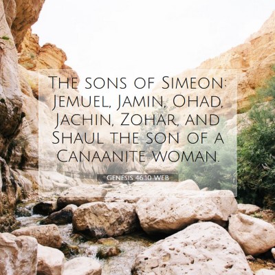 Picture 07 - Genesis 46:10 WEB - The sons of Simeon: Jemuel, Jamin, Ohad, Jachin, - Bible Verse Picture