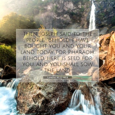 Picture 07 - Genesis 47:23 WEB - Then Joseph said to the people, 