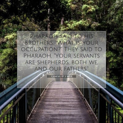 Picture 07 - Genesis 47:3 WEB - Pharaoh said to his brothers, 