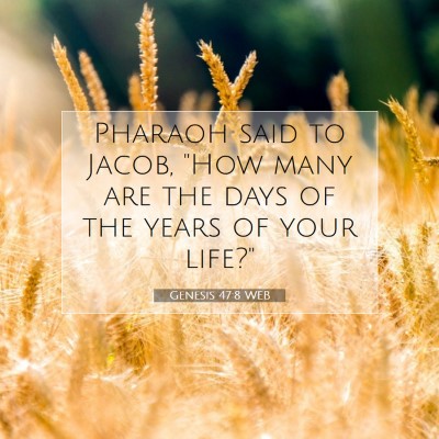 Picture 07 - Genesis 47:8 WEB - Pharaoh said to Jacob, 