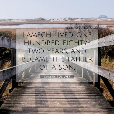 Picture 07 - Genesis 5:28 WEB - Lamech lived one hundred eighty-two years, and - Bible Verse Picture
