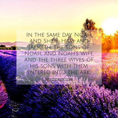 Picture 07 - Genesis 7:13 WEB - In the same day Noah, and Shem, Ham, and Japheth, - Bible Verse Picture
