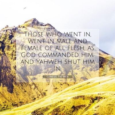 Picture 07 - Genesis 7:16 WEB - Those who went in, went in male and female of all - Bible Verse Picture