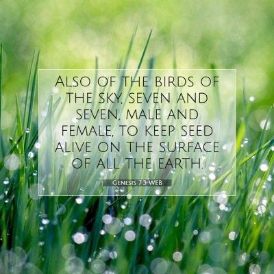 Picture 07 - Genesis 7:3 WEB - Also of the birds of the sky, seven and seven, - Bible Verse Picture