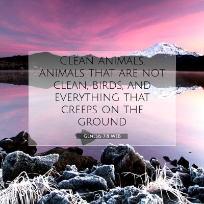 Picture 07 - Genesis 7:8 WEB - Clean animals, animals that are not clean, birds, - Bible Verse Picture