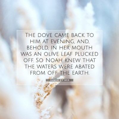 Picture 07 - Genesis 8:11 WEB - The dove came back to him at evening, and, - Bible Verse Picture