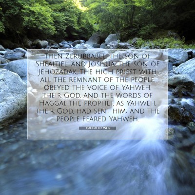 Picture 07 - Haggai 1:12 WEB - Then Zerubbabel, the son of Shealtiel, and - Bible Verse Picture