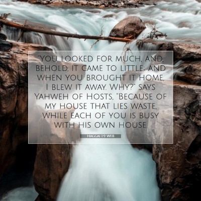 Picture 07 - Haggai 1:9 WEB - 