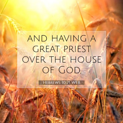 Picture 07 - Hebrews 10:21 WEB - and having a great priest over the house of - Bible Verse Picture