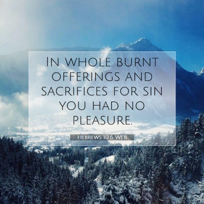 Picture 07 - Hebrews 10:6 WEB - In whole burnt offerings and sacrifices for sin - Bible Verse Picture