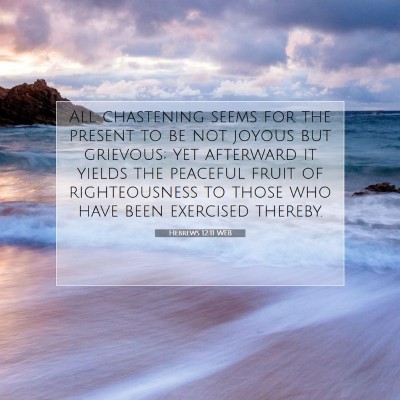 Picture 07 - Hebrews 12:11 WEB - All chastening seems for the present to be not - Bible Verse Picture