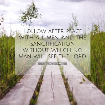 Picture 07 - Hebrews 12:14 WEB - Follow after peace with all men, and the - Bible Verse Picture