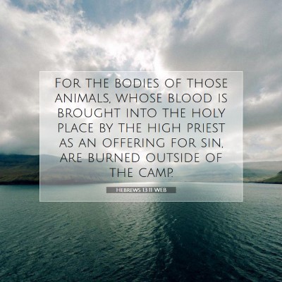 Picture 07 - Hebrews 13:11 WEB - For the bodies of those animals, whose blood is - Bible Verse Picture