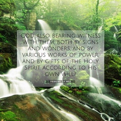 Picture 07 - Hebrews 2:4 WEB - God also bearing witness with them, both by signs - Bible Verse Picture