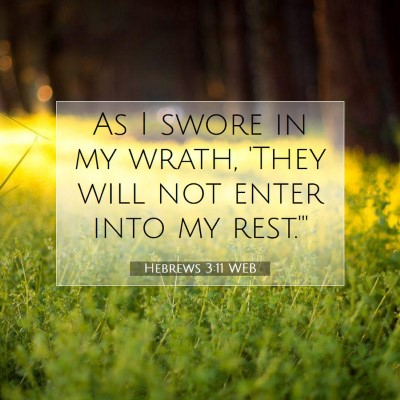 Picture 07 - Hebrews 3:11 WEB - As I swore in my wrath, 'They will not enter into - Bible Verse Picture