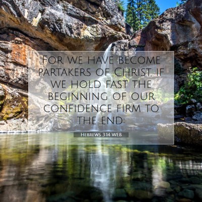 Picture 07 - Hebrews 3:14 WEB - For we have become partakers of Christ, if we - Bible Verse Picture