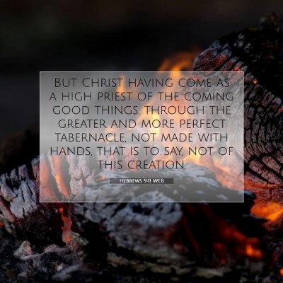 Picture 07 - Hebrews 9:11 WEB - But Christ having come as a high priest of the - Bible Verse Picture