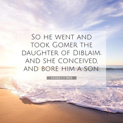 Picture 07 - Hosea 1:3 WEB - So he went and took Gomer the daughter of - Bible Verse Picture
