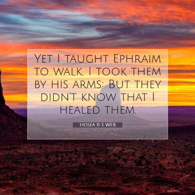 Picture 07 - Hosea 11:3 WEB - Yet I taught Ephraim to walk. I took them by his - Bible Verse Picture