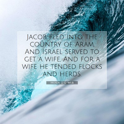 Picture 07 - Hosea 12:12 WEB - Jacob fled into the country of Aram, And Israel - Bible Verse Picture