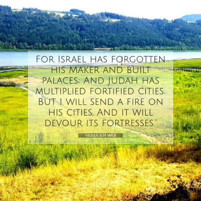 Picture 07 - Hosea 8:14 WEB - For Israel has forgotten his Maker and built - Bible Verse Picture