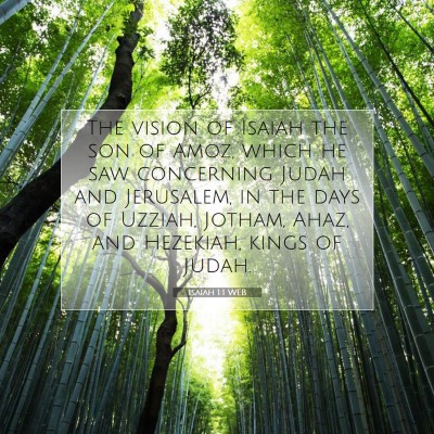 Picture 07 - Isaiah 1:1 WEB - The vision of Isaiah the son of Amoz, which he - Bible Verse Picture